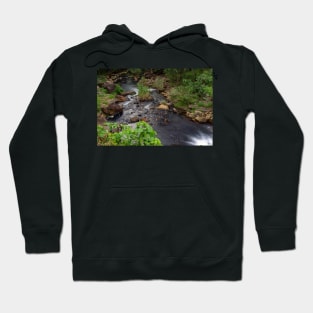 Cool Nature Hoodie